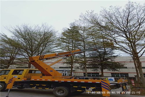 廉江市吊籃車出租包天 中橋建